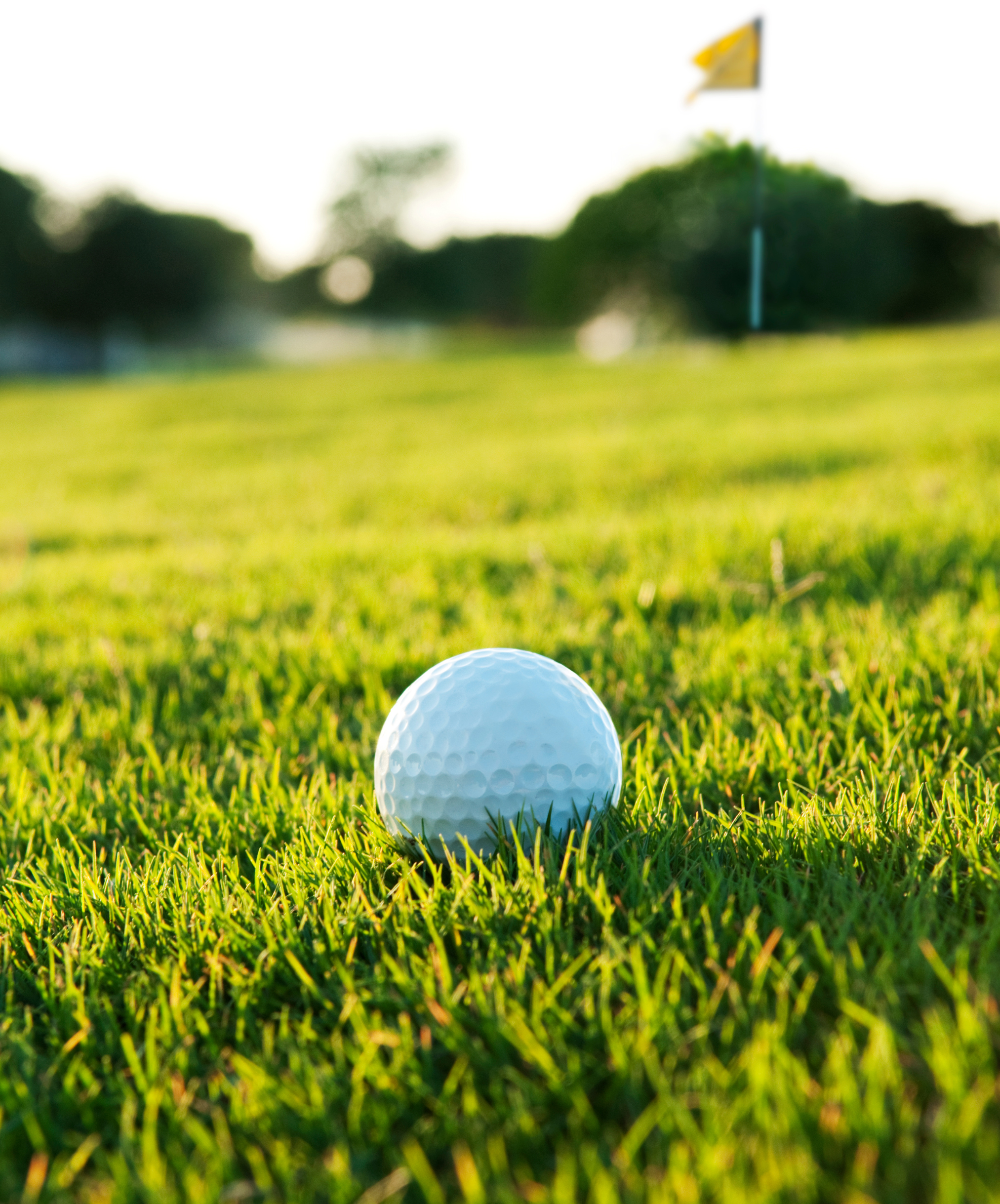 Championship golf course at Davison Country Club in Mid-Michigan.
