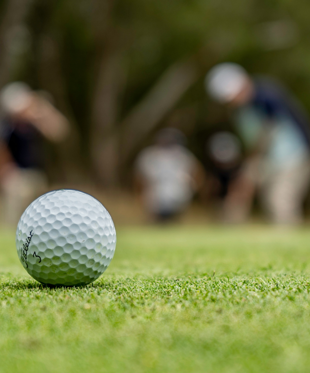 Close-up of a golf ball on the green at Davison Country Club golf course